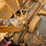 minneapolis-moline-z-image-23
