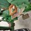 1965-john-deere-2010-image-17