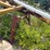 #46925-•-(2)-fuel-tank-stands-image-5