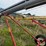 #46916-•-hutchinson-10-32-32'-grain-auger-image-26