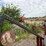 #46919-•-burner-image-15