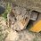 #46932-•-hurricane-26-pto-ditcher-image-10