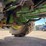 john-deere-4200-image-25