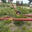 #46916-•-hutchinson-10-32-32'-grain-auger-image-14