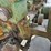 1952-john-deere-model-a-image-20