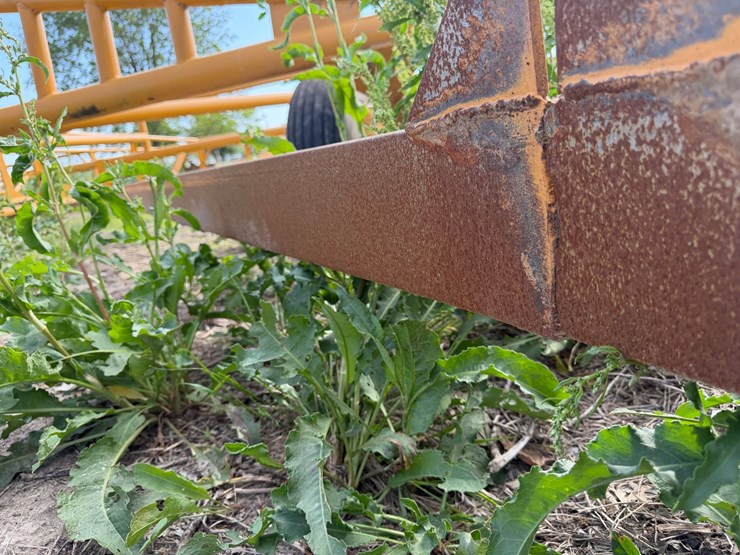 proctor-18x52-image-29