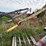#46915-•-westfield-50'-grain-auger-image-1