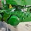 1955-john-deere-70-image-42