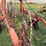 #46931-•-rossi-rt79-hay-rake-image-17