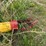 #46915-•-westfield-50'-grain-auger-image-10