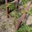 #46925-•-(2)-fuel-tank-stands-image-11