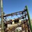 #46905-•-martens-46'-harrow-image-43
