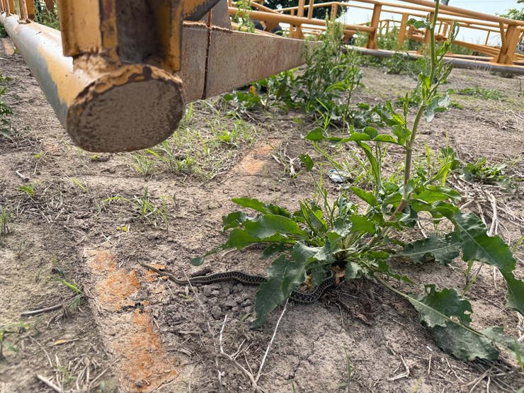 proctor-18x52-image-47