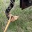 #46934-•-bigham-6-row-38"-terra-till-image-51