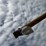 #46912-•-westfield-70'-grain-auger-image-31