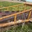#46926-•-20'-stubble-roller-image-17