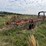 #46931-•-rossi-rt79-hay-rake-image-3