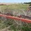 #46931-•-rossi-rt79-hay-rake-image-24