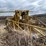 #5515-•-agco-rogator-u1264c-ag-chem-sprayer-image-57