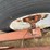 #46917-•-28'-t/a-equipment-trailer-image-13
