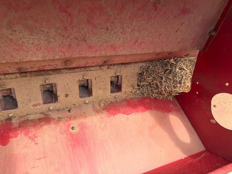 international-12-image-34