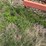#46931-•-rossi-rt79-hay-rake-image-28