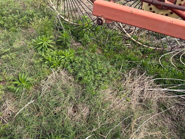 #46931-•-rossi-rt79-hay-rake-image-28