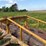 #46926-•-20'-stubble-roller-image-10