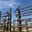 #46905-•-martens-46'-harrow-image-23