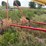 #46915-•-westfield-50'-grain-auger-image-15