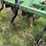 #46934-•-bigham-6-row-38"-terra-till-image-21