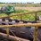 #46926-•-20'-stubble-roller-image-25