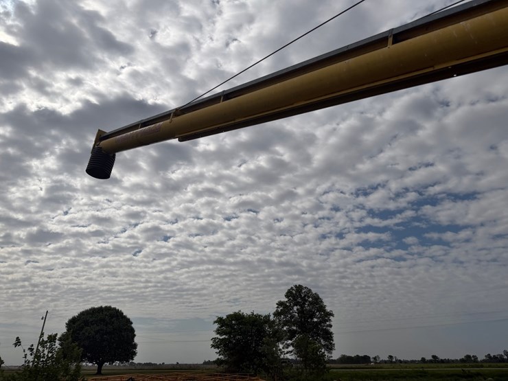#46915-•-westfield-50'-grain-auger-image-21