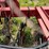 case-ih-5300-image-14