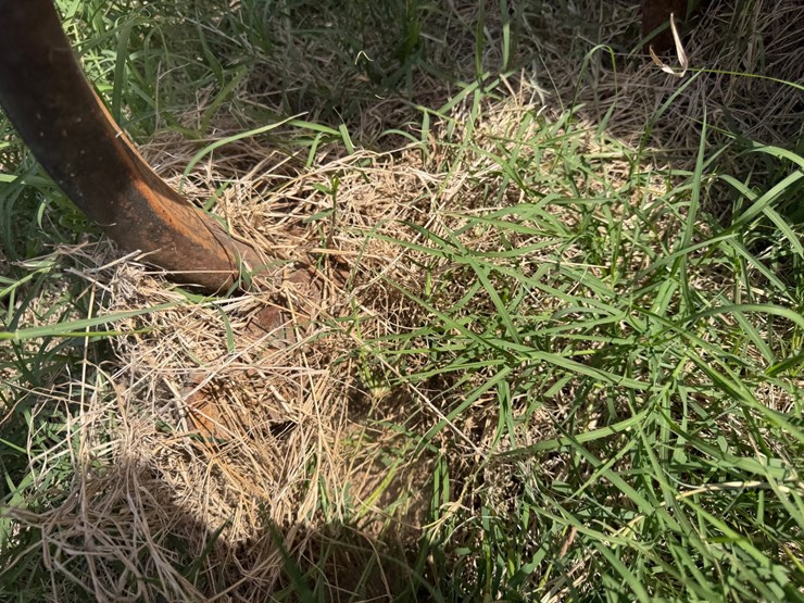 2000-landoll-2000-image-81