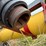 #46915-•-westfield-50'-grain-auger-image-35