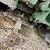 john-deere-model-a-image-19