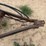 #46912-•-westfield-70'-grain-auger-image-11