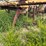 #46925-•-(2)-fuel-tank-stands-image-2