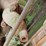 #962-•-john-deere-engine-image-12