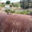 #46922-•-~550gal-fuel-tank-image-8