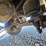 2012-great-dane-van-trailer-image-42