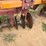 great-plains-ls12-image-26