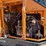 2023-hyundai-hx130a-lcr-image-36