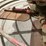 #5022-•-allen-walker-razorback-power-trowel-image-9