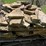#7462-•-tan-flagstone-image-6