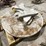 #5033-•-stamped-concrete-compass-table-image-2
