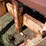 #7153-•-hudson-utility-trailer-(no-title)-image-24