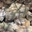 #7427-•-lannon-stone-image-3