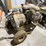 #5011-•-(2)-non-running-gas-powered-generators-image-12
